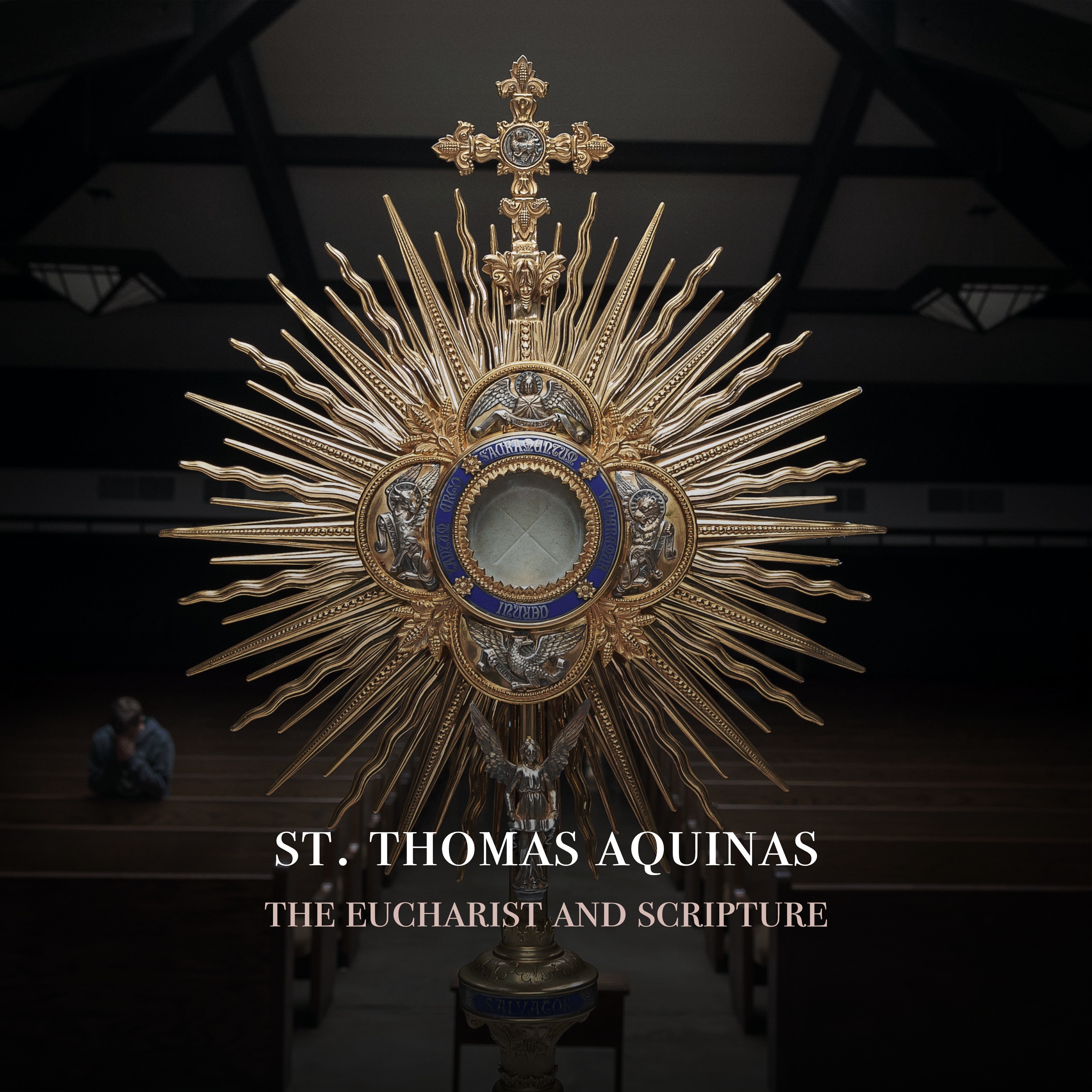 Fr. Barry Braum - Homilies and Conferences