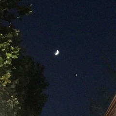 오이스터 - Cherokee