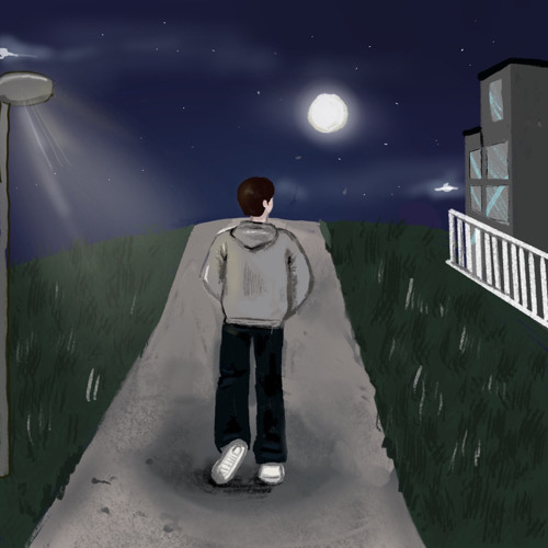 Walk In The Moonlight