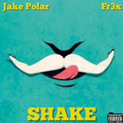 polar x fr3x - shake.mp3