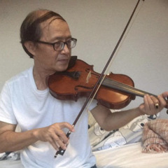 muasaimua_violin