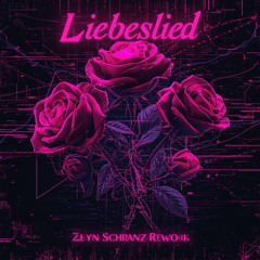 JBS- liebeslied(Zeyn Schranz Rework) Snippet