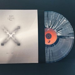 Premiere : Nicola Brusegan & Steve Hammer - Under Beat (ZNGBRLTDX1)