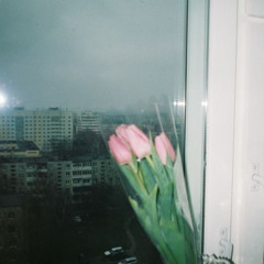 Bye bye my blue