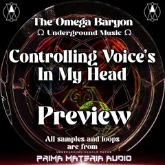 The Omega Baryon - Controlling Voice's In My Head  - preview -