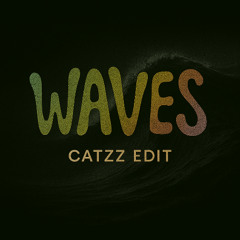 Mr. Probz - Waves (CatzZ Edit)
