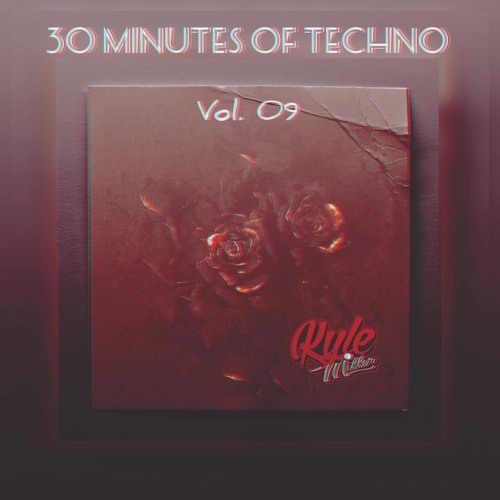 30 Minutes Of Techno Vol. 09