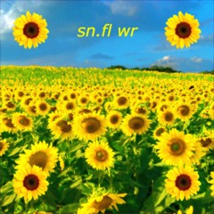 sn.fl wr