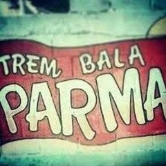 == TROPA DA PARMA BAQUEANDO O COMPLEXO DA PEDREIRA ( TD 2 CV ) DJ LTZ MC VX