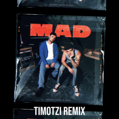 Martin Garrix & Lauv - MAD (Timotzi Remix) [FREE DOWNLOAD]