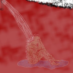 Covid Flow 2//Cassette