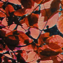 autumn spirit