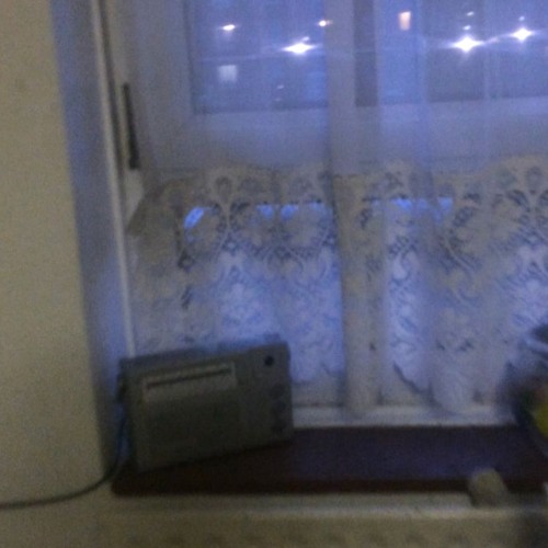 you like the cars and all the girls