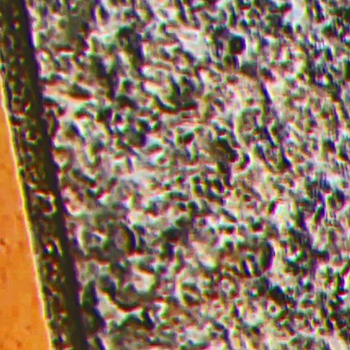 世紀末キャッチボールの時投げったボールがかえてこない。（세기말 캐치볼때 던진 공이 왜인지 돌아오지 않아요）