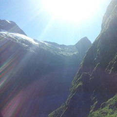 Springtime Jungle (+ IDM, dub, synth, D & B, ambient etc)