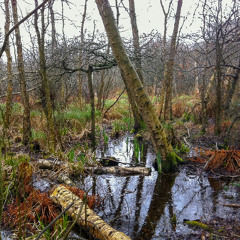 Nathan Watts - November 2025