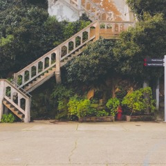 Revelations X Pinstripe Sunny