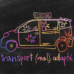 Transport (mal)adapté - Le trajet