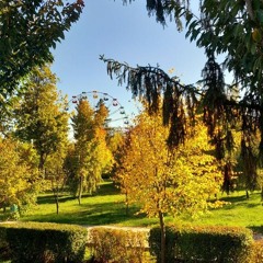 Life Happens Hippie Sabotage