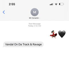 Vandal On Da Track x Ravage - Mi Corazòn (Radio Edit)