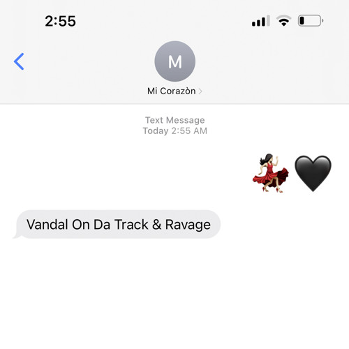 VANDAL X & Ravage - Mi Corazòn (Radio Edit)