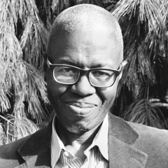 De langue à langue, l'hospitalité de la traduction | Souleymane Bachir Diagn