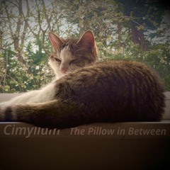 The Pillow in Between