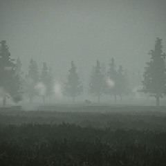 mist