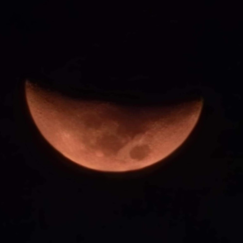 khóc (demo rên rỉ)