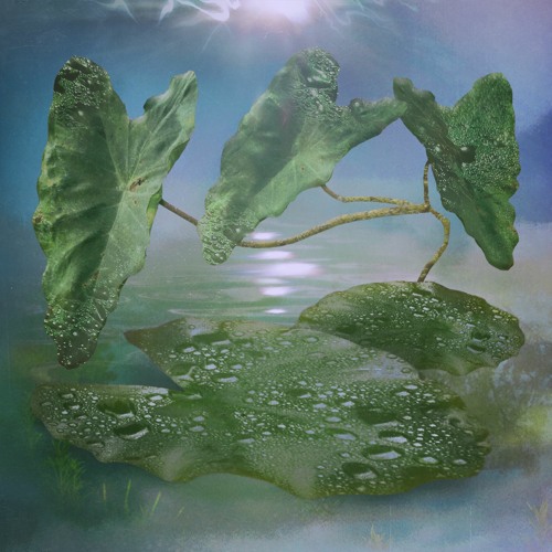SLOUCHO - Wings