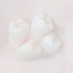 ♡ the nobodies — nicole dollanganger