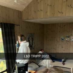 L$D! || Schizophrenia Prod. Saint Mgns