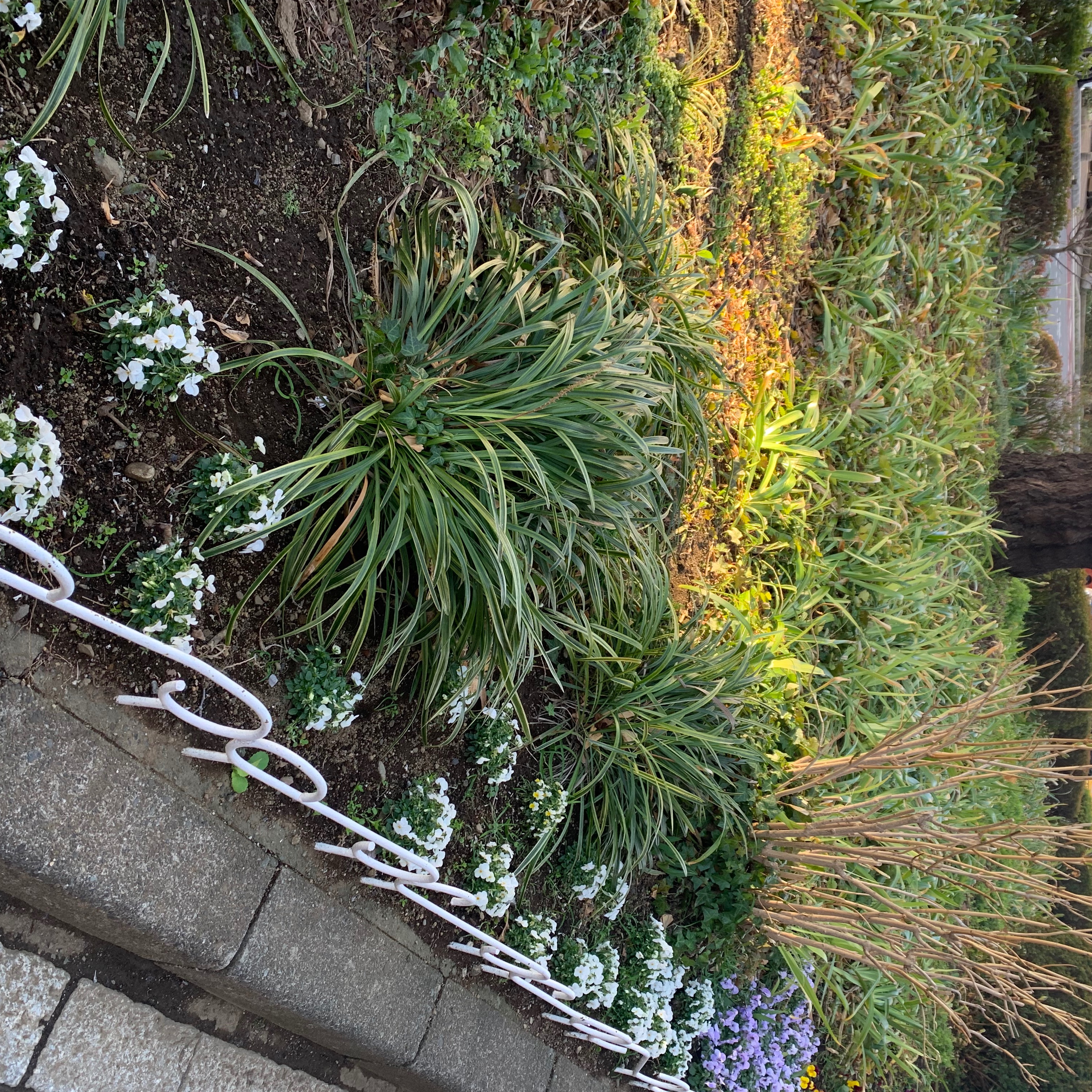 強い風-yumbo(cover)