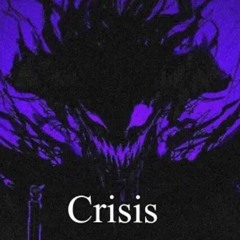 Crisis///FlowPayer