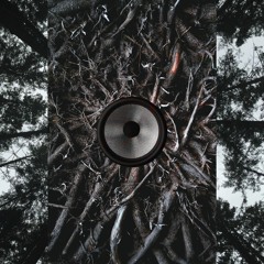 Dub.Roots