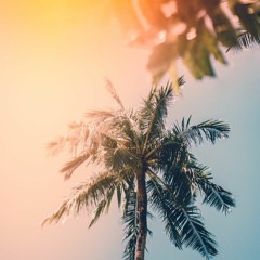 ULTIMATE SUMMER MIX 02