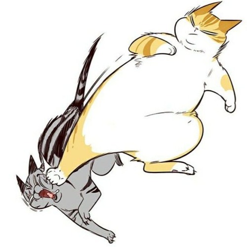 This Next Part is Tough (you'll be fine)