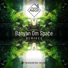 Pasha Aeon - Banyan Om Space (eelison remix)