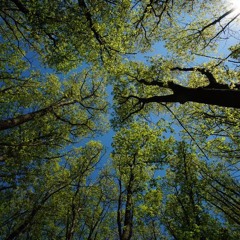 somedays I only make it out at night