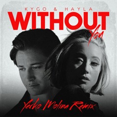 Kygo & Hayla - Without You (Yerko Molina Remix)