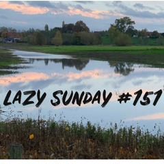 Lazy Sunday # 151