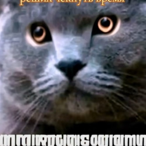 ☟♙✊ ØĐＥЯ𝔻aＡс}❷３.２２ 😾?:X.ROZEGIЯA AMИARAC👁✊🏿