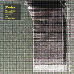 Trilucid - A Moment (DSF Extended Remix)
