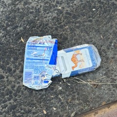 ways of the world (instrumental)