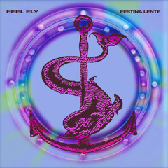 PREMIERE: Feel Fly - Festina Lente [Taste Rec.]