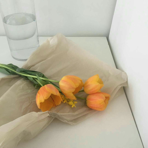 Stream Seventeen Fallin Flower 舞い落ちる花びら Lo Fi Ver By 𝟏𝐮𝐯𝐢𝐞𝐛𝐛𝐲𝐲 Listen Online For Free On Soundcloud