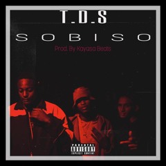 TDS - SOBISO