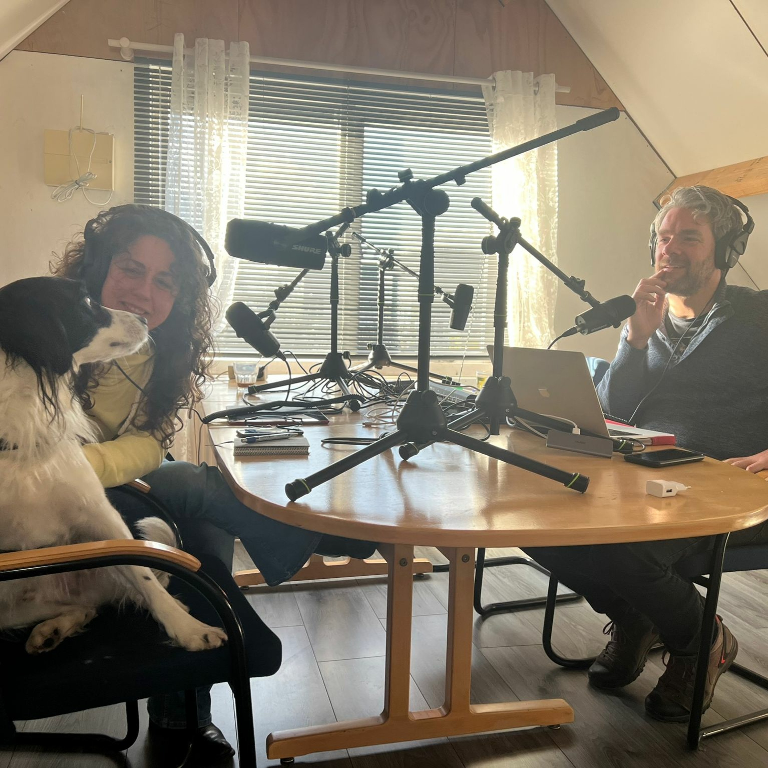 De Orkaan podcast (Zaans nieuws)