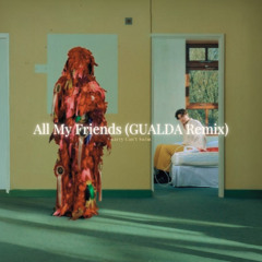 Barry Can't Swim - All My Friends (GUALDA Remix)