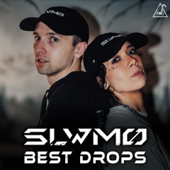 Best drops by SLWMO - Heavy Dubstep & Briddim